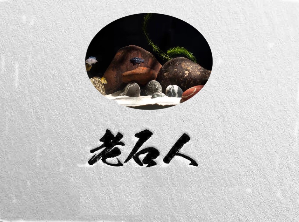 老石人黄蜡石乌龟晒台鱼缸造景