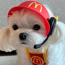 Maltese McDonalds hat dog summer sun protection hat sun hat exposed ears small puppy supplies