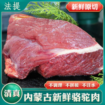 Halal Fresh Camel Meat Inner Mongolia Camel Leg Meat Whole Only Raw Chopped Raw Cooked Fresh Cooked Frozen Raw Hump Meat Easy To Digest