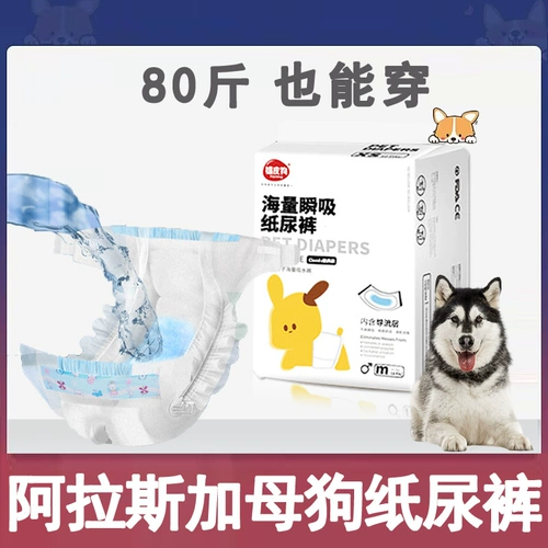 Аляска посвященные подгузники домашние животные собака собака -собака.