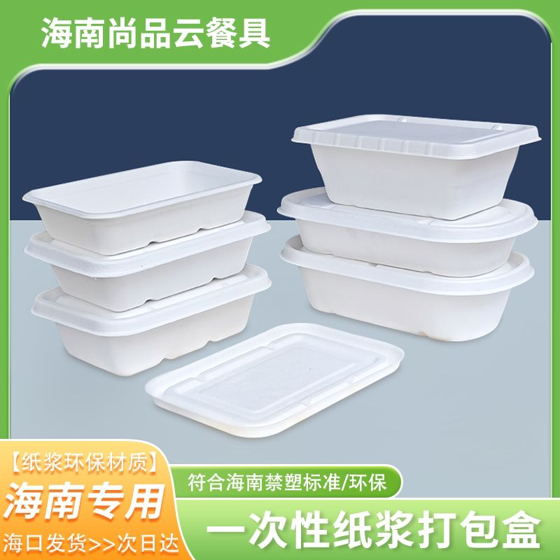 Disposable Sugarcane Pulp Tableware, Fully Biodegradable Square Box, Takeaway Picnic Salad Pulp Lunch Box, Bento Box