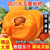 Sichuan Chengdu Longquan Great 5 Star Loquat Fresh Фруктовый Бутик Большие Плоды 5 Cati Pipa Фруктовые Целые Ящики Био-Фатские Фрукты
