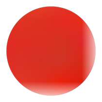 Four-wheel professional scooter for beginners adults children and teenagers concave board maple double-warp skateboard land surfboard