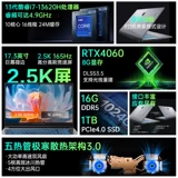 [Правительственная субсидия 20%] Thunderobot 911plus Core Standard Dative I7