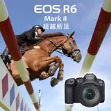 [Ali Self -занято] Canon R6 Second -Generation Full -Frame Professional Microstructure EOS R6 Mark2II
