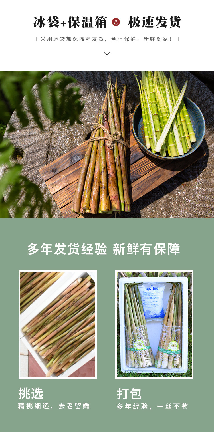 湘浓情 湖南永州 野生小山笋竹笋 4.5斤 天猫优惠券折后￥28.8顺丰包邮（￥38.8-10）