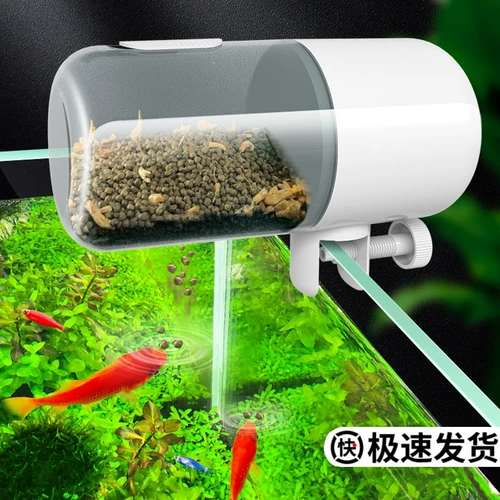 Автоматическая фидерная рыбака аквариума Peacock Parrot Koi Golden Fish маленькая федеральная интеллектуальная коробка Умная времени