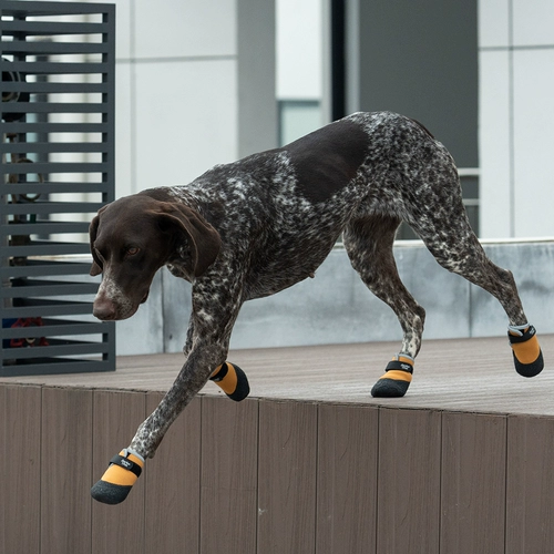 Jian Bo Yi Chong pod обувь для собак Greyhound Corgi на мягкой подошве, водонепроницаемая, не падает, легко носить и играть на снегу