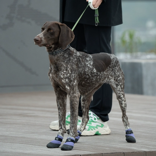 Jian Bo Yi Chong pod обувь для собак Greyhound Corgi на мягкой подошве, водонепроницаемая, не падает, легко носить и играть на снегу