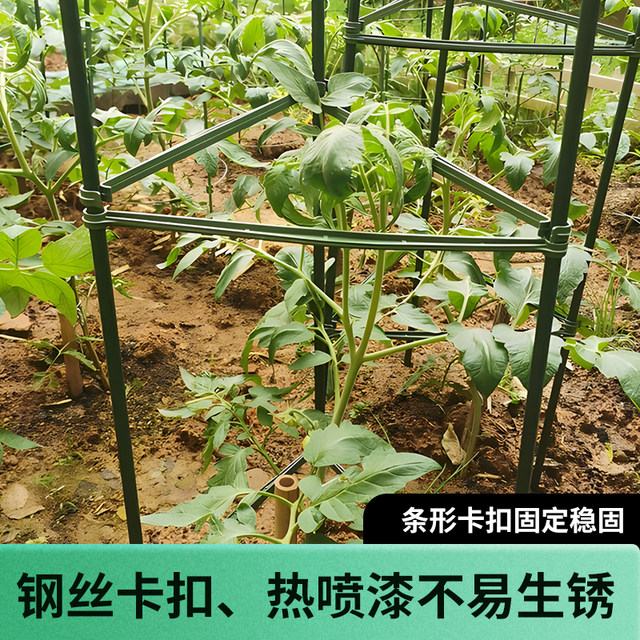 ຫມາກເລັ່ນ rack ຫມາກເລັ່ນ eggplant ປີນ pergola ສວນປູກດອກໄມ້ສີຂຽວສະຫນັບສະຫນູນ pole balcony ດິນ fixed ສະຫນັບສະຫນູນ pole