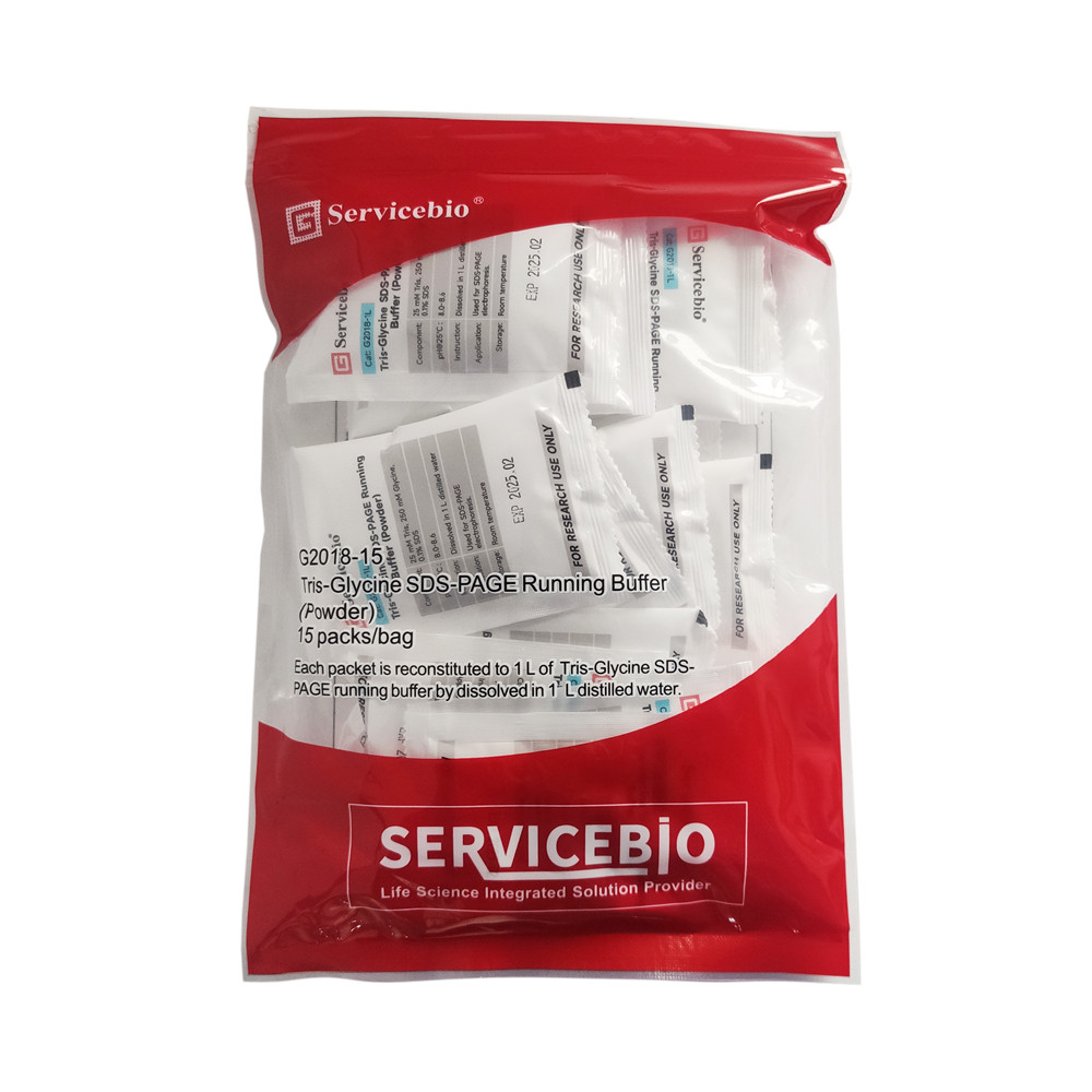 Servicebio Tris-甘氨酸SDS-PAGE电泳缓冲液适用SDS-PAGE蛋白电泳