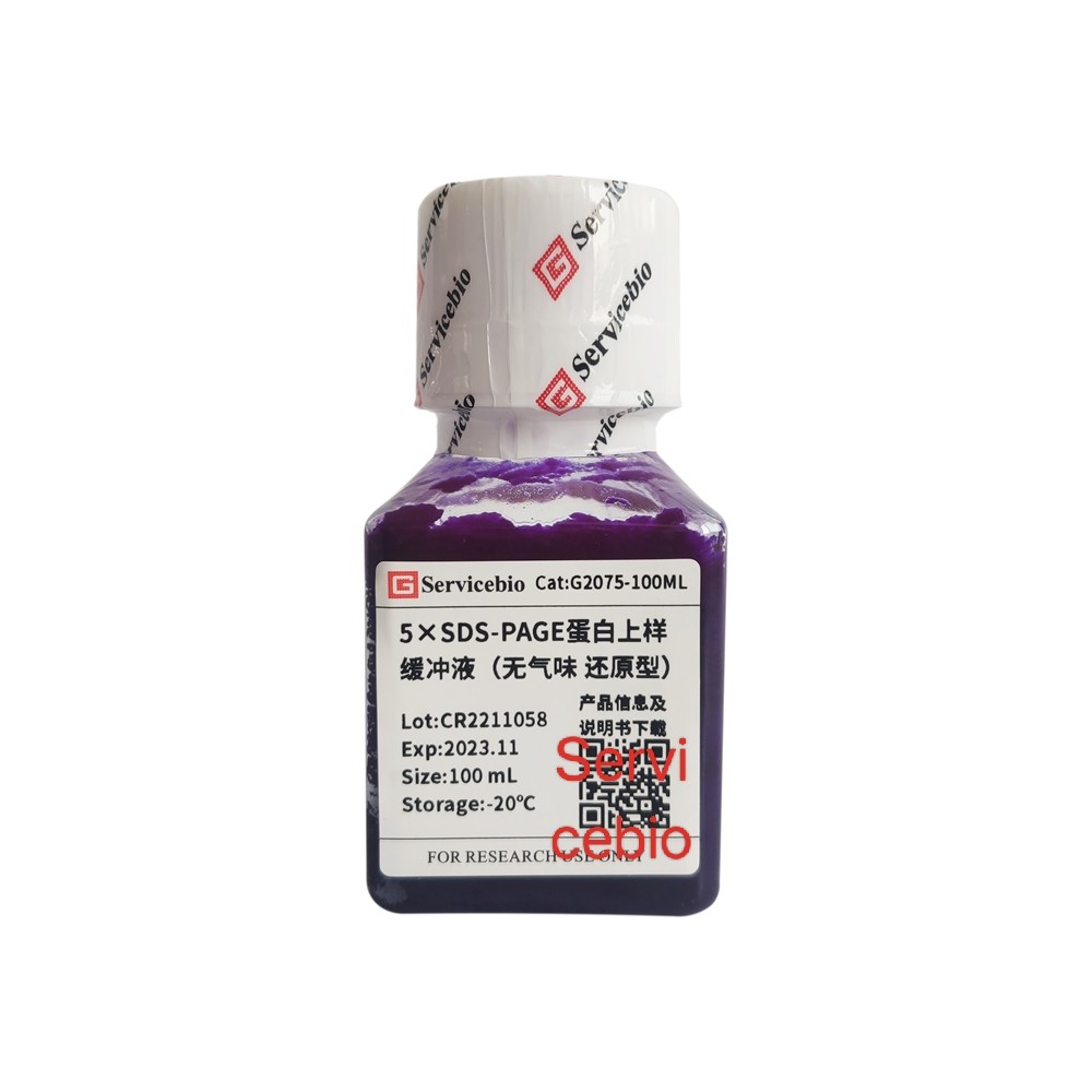 Servicebio 5&times;SDS-PAGE蛋白上样缓冲液G2075-100ML无气味,还原型