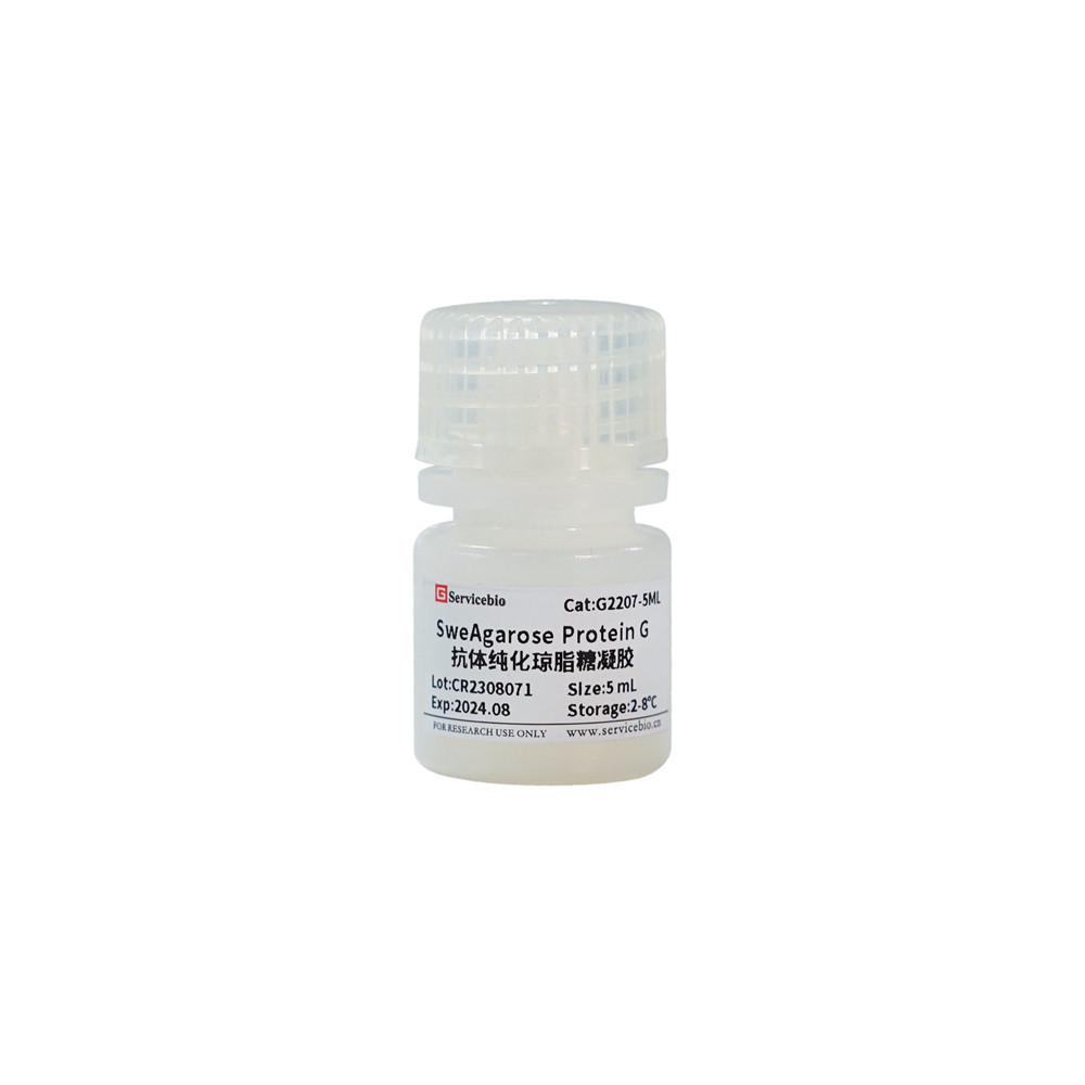 Servicebio SweAgarose Protein G抗体纯化琼脂糖凝胶 1mL 5mL