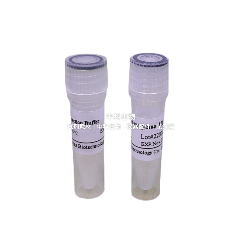 BOLAZ 逆转录酶 Ⅲ，适合具有复杂二级结构的 RNA 模板的逆转录