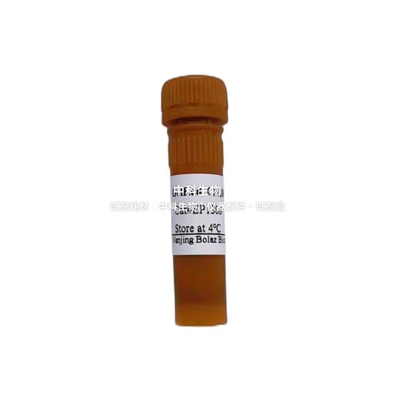 BOLAZ GelRed核酸染料 适用琼脂糖/PAGE电泳dsDNA/ssDNA/RNA染色