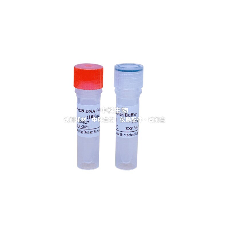 BOLAZ超高保真性Phi29 DNA聚合酶 适用质粒体外制备/全基因组合成