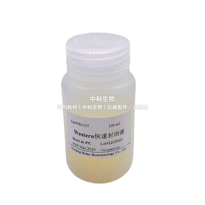 BOLAZ Western快速封闭液(Blocking Buffer)用于PVDF膜或NC膜封闭