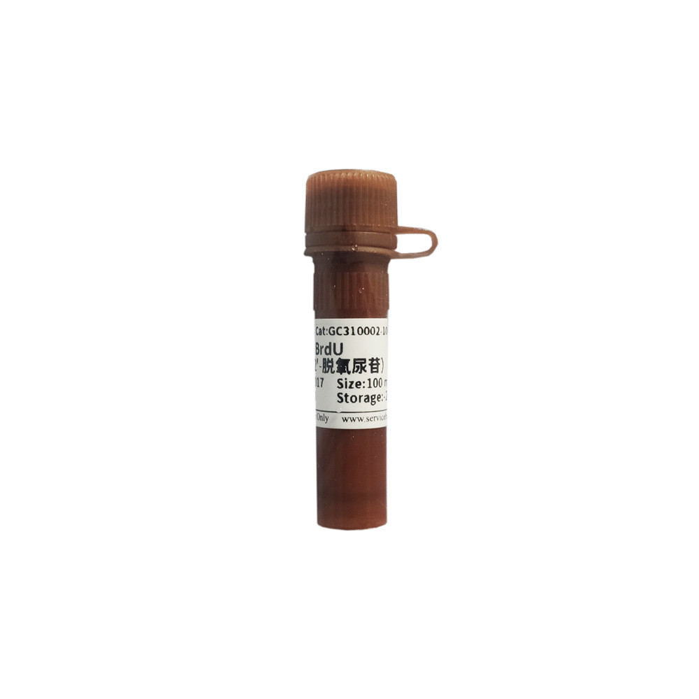 Servicebio BrdU(5-溴-2&rsquo;-脱氧尿苷)GC310002胸腺嘧啶核苷类似物