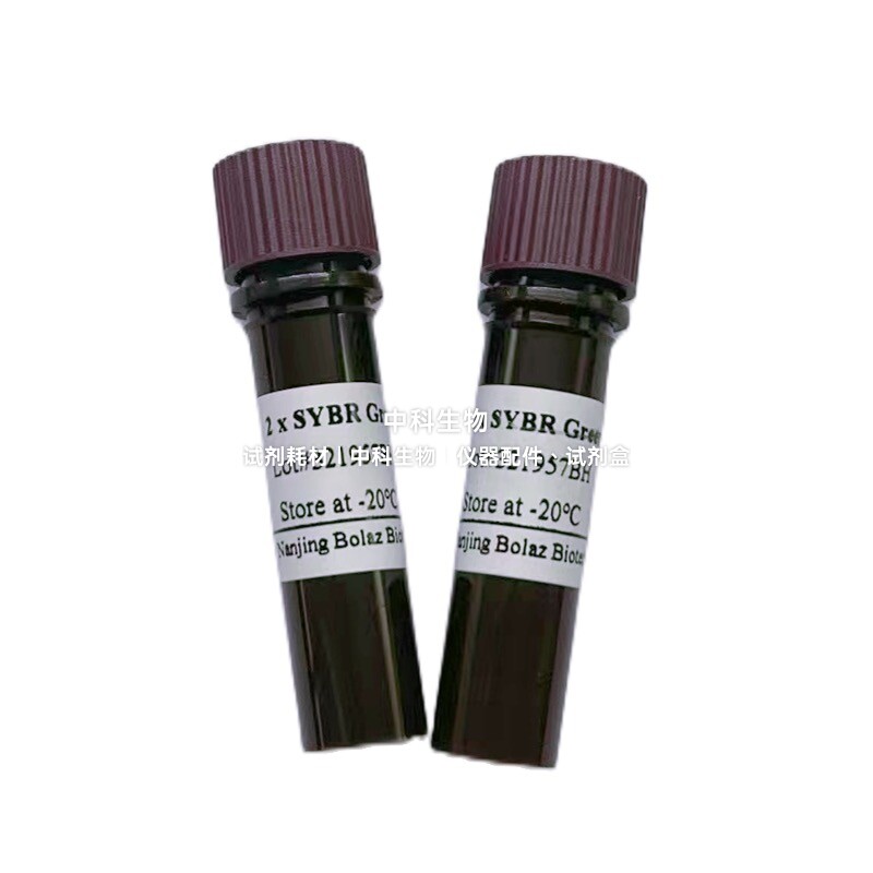 BOLAZ 2&times;SYBR Green qPCR混合液(高ROX)用于嵌合荧光荧光定量PCR