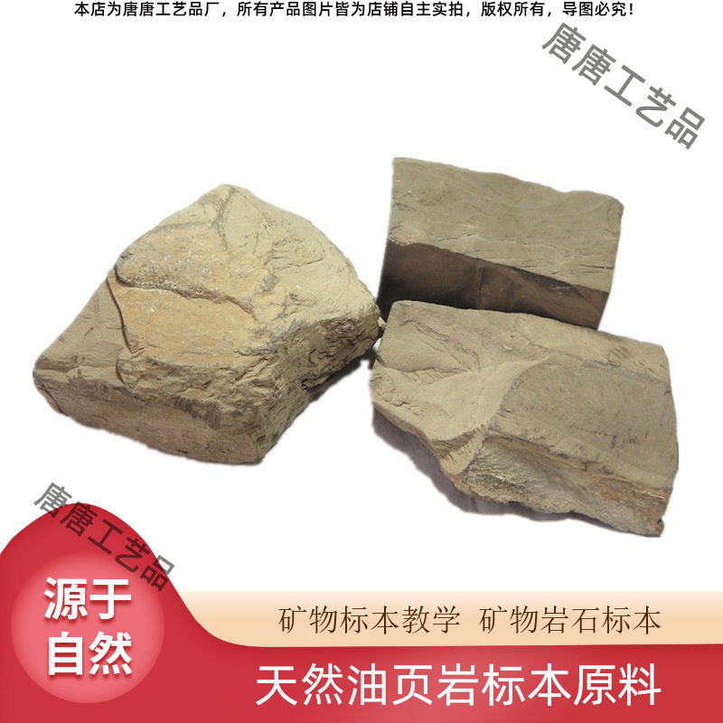 天然矿物标本原矿摆饰油页岩原料 岩石教学原石 实验材料产地山东
