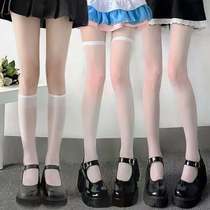 {Tian Duoxi} Cute butterfly fashion icon ~ calf socks summer thin knee-high stockings rompers