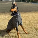 Демисезонная светоотражающая куртка с капюшоном для выхода на улицу, подходит для подростков