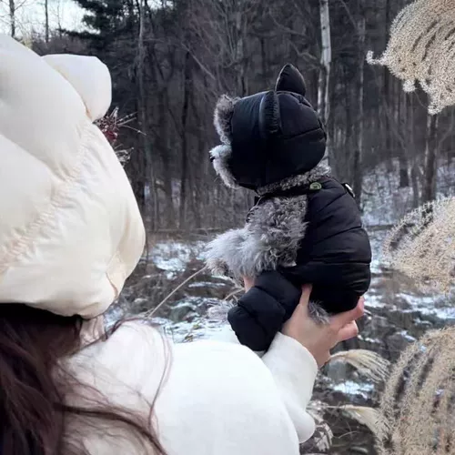 Пуховик, комбинезон, сверхлегкая шапка