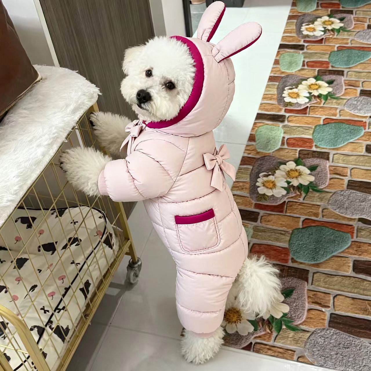 宠物秋冬潮搭：为毛孩子们定制温暖与时尚