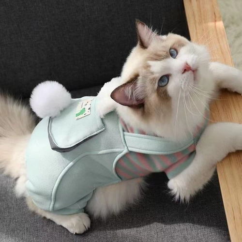 Кошачья одежда предотвращает выпадение волос осенью и зимнее голубые кошачьи тряпки безволоса