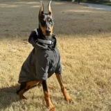 Демисезонная светоотражающая куртка с капюшоном для выхода на улицу, подходит для подростков