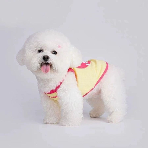 Сладкая и милая подвесная собачья собака кот кот малзис