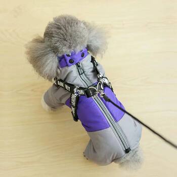 Thickened dog clothes, warm and tractionable, four-legged teddy bear, pomeranian, schnauzer, corgi and french bulldog pet clothing