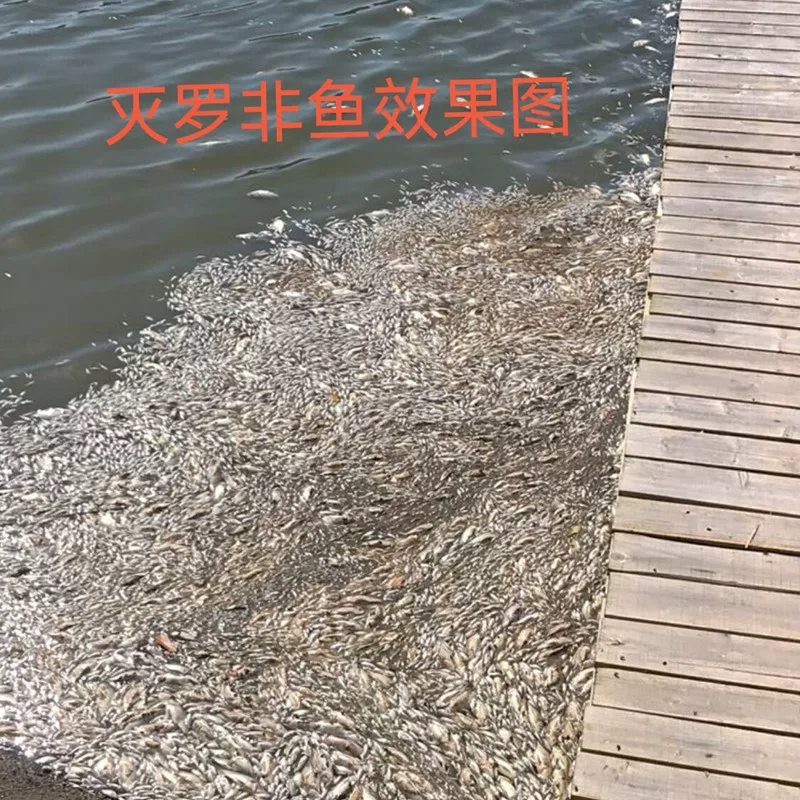 Лекарство для убийства tilapia убивает тиляпий, очищает тиляпий, быстро убивает тиляпий, убивает тиляпий в прудах для рыбы, водохранилищах, рыболовных угодьях, убивает тиляпий
