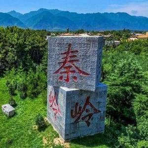 陕西秦岭四宝特产