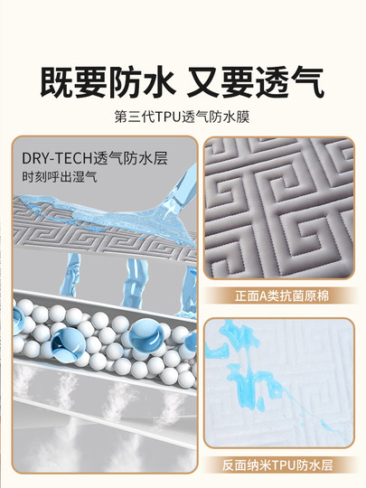 Class a Waterproof Urine-Proof Quilted Fitted Sheet 2023 New Model Non-Pure Cotton Bed Cover Simmons Mattress Protector Sheet Set