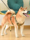 Dog Harness for Medium and Large Dogs Going Out for Summer Dog Leash Vest Type Explosion-proof Shiba Inu Leash