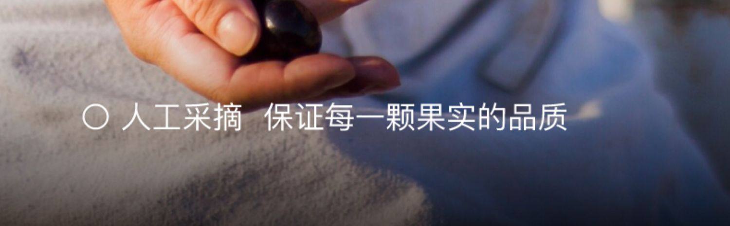 【中國直郵】 花田萃 羽衣甘藍巴西莓粉 輕食代餐粉飽腹食品早餐沖泡即食飲品 3g*20條/盒