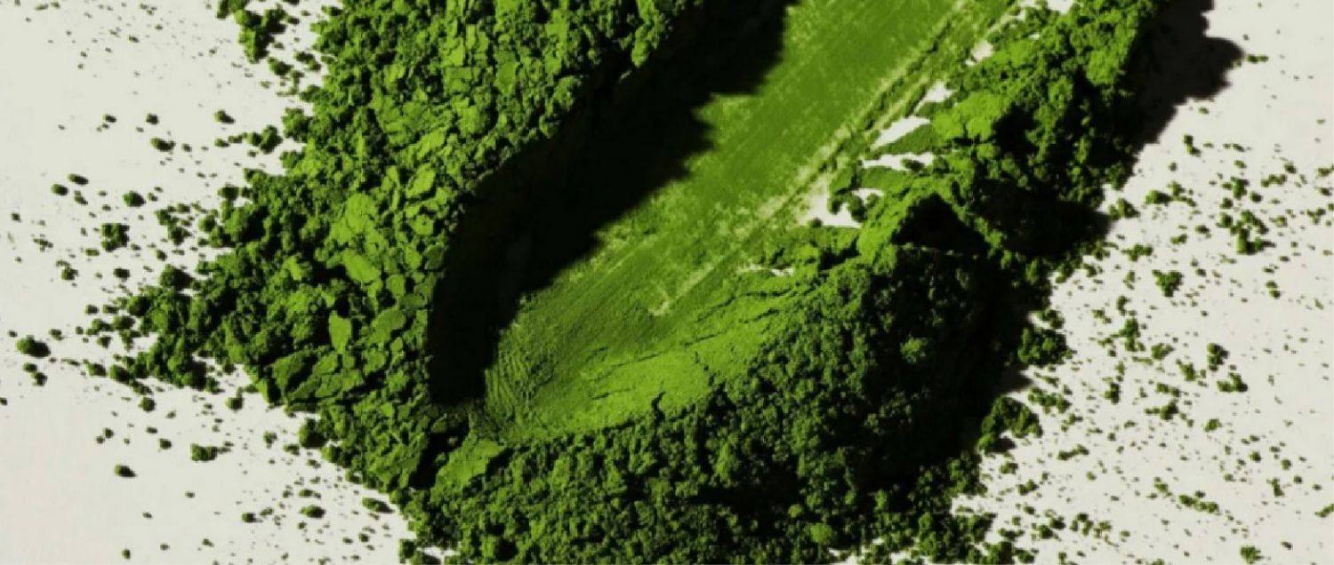 Jasmine Sprout Milk Tea Powdered Drinking Individual Small Pack Light Buttermilk Tea 140g/bag  2 boxes