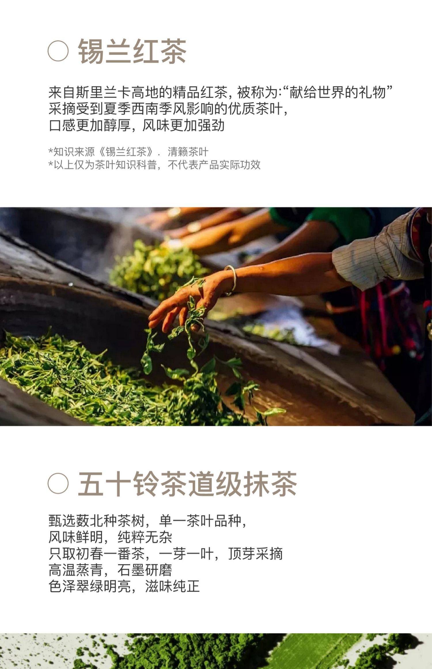 Jasmine Sprout Milk Tea Powdered Drinking Individual Small Pack Light Buttermilk Tea 140g/bag  2 boxes