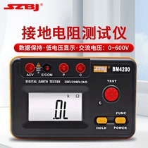 Binjiang BM4100 Digital Ground Resistance AC and DC Voltage Measurement Tester BM4200 Digital Ground Meter
