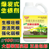 Rooting and seedling strengthening agent rooting powder rooting liquid transplanting cuttings fruit trees flowers and vegetables rapid rooting powerful rooting agent