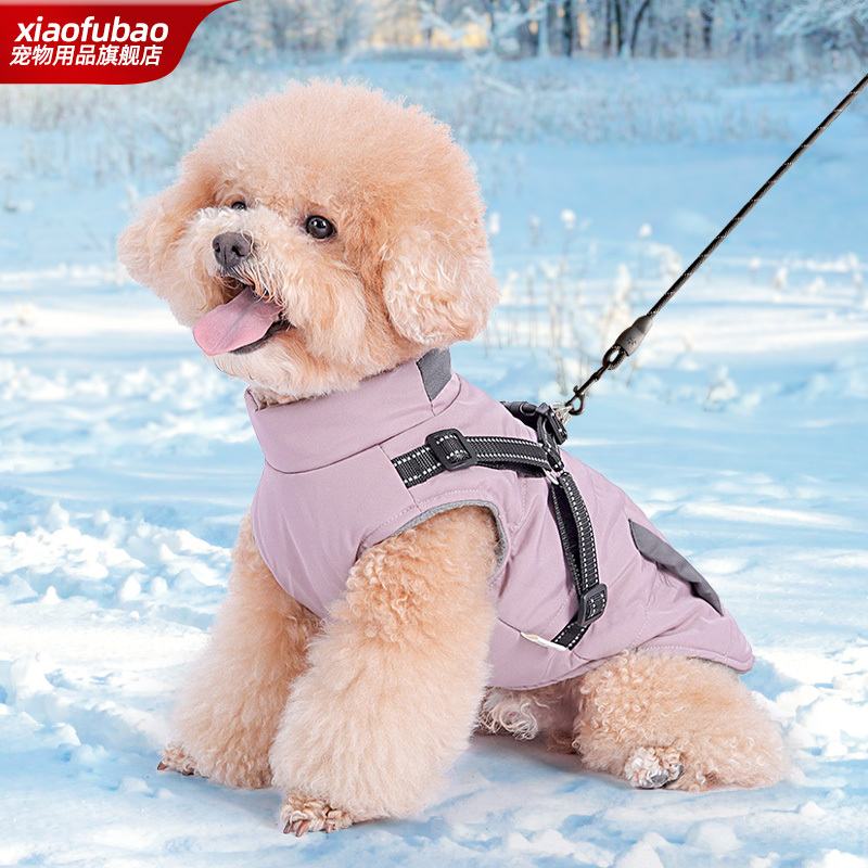 Teddy Dog Clothes for Autumn and Winter, Bichon Frise, Pomeranian, Small and Medium-Sized Dogs, Two-Legged Clothing, Fleece-Lined Cotton Coat, Thickened Warm Vest Teddy Dog Clothes for Autumn and Winter, Bichon Frise, Pomeranian, Small and Medium-Sized Dogs, Two-Legged Clothing, Fleece-Lined Cotton Coat, Thickened Warm Vest