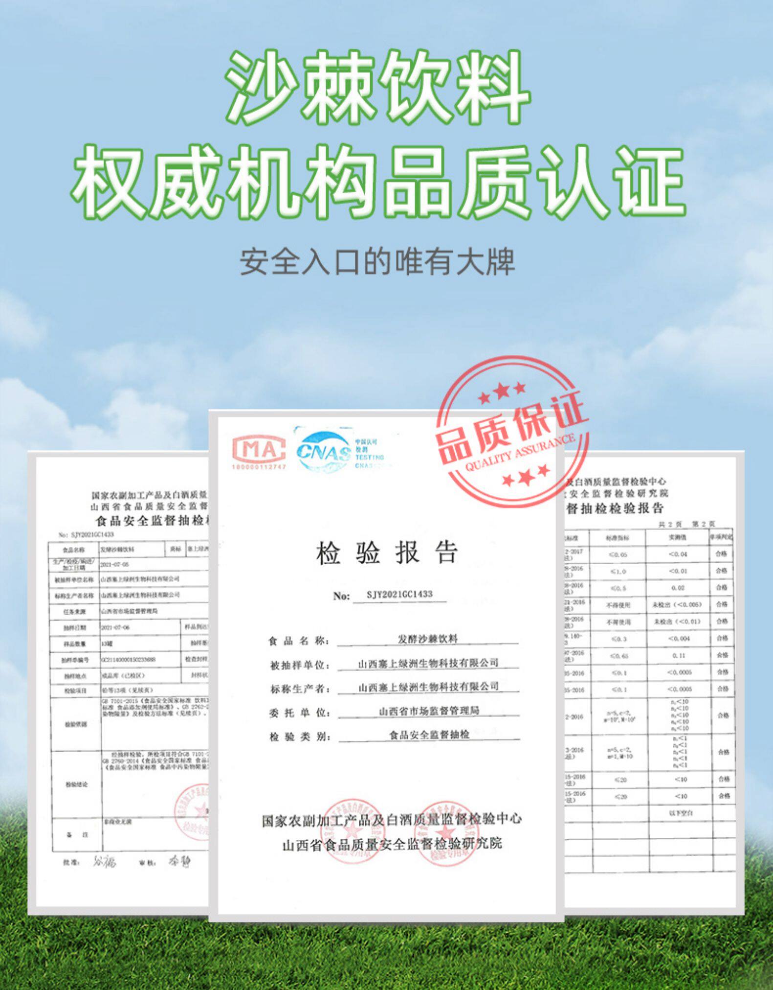 塞上绿洲 山西特产沙棘饮料240mlx8罐 券后29.9元包邮 值值值-买手聚集的地方