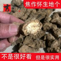 500 grams of raw rehmannia glutinosa dug out a piece of Chinese medicinal material Rehmannia glutinosa authentic Henan Jiaozuo Huaigan Rehmannia glutinosa fresh rehmannia powder