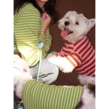 Tagi.《Ха-ха》ха-ха, цвет питомца, цвет кошки, в тон, в полоску для собаки, хлопковая дышащая одежда для домашних животных, тонкий срез