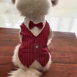 Pet Dog Suit Bichon Teddy Wedding Attire Suit Wedding Dress Decoration Summer Thin Shirt
