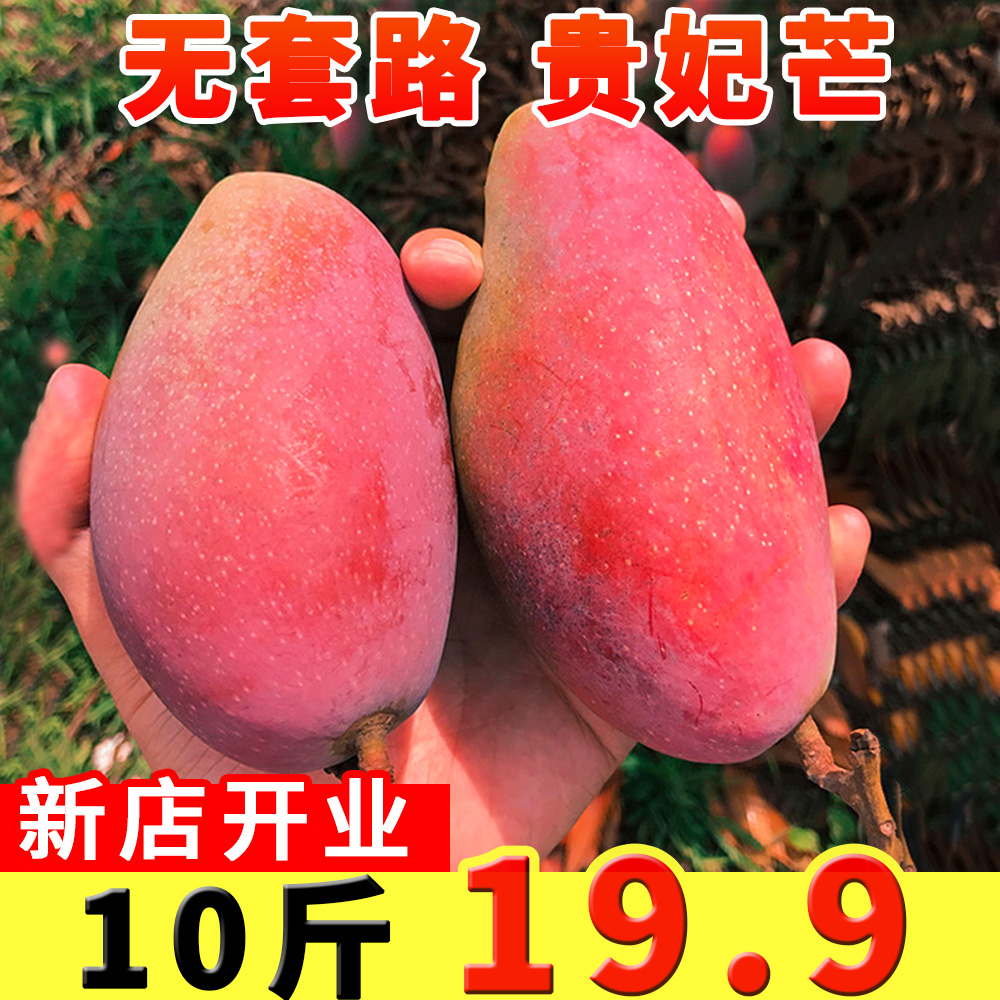 海南贵妃芒新鲜芒果应季水果当季红金龙大果树上熟甜心青小台10斤