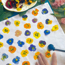 Plant dyeing material package childrens handmade hammer knocking dyeing tools photo frame canvas diy alum printing and dyeing rubbing