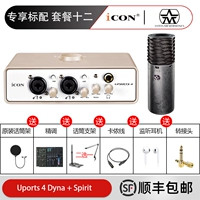 Упаковка двенадцать