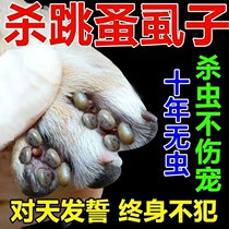 Cats and dogs ex-insecticide to remove flea lice for special pet environment pesticide for pesticide dogs